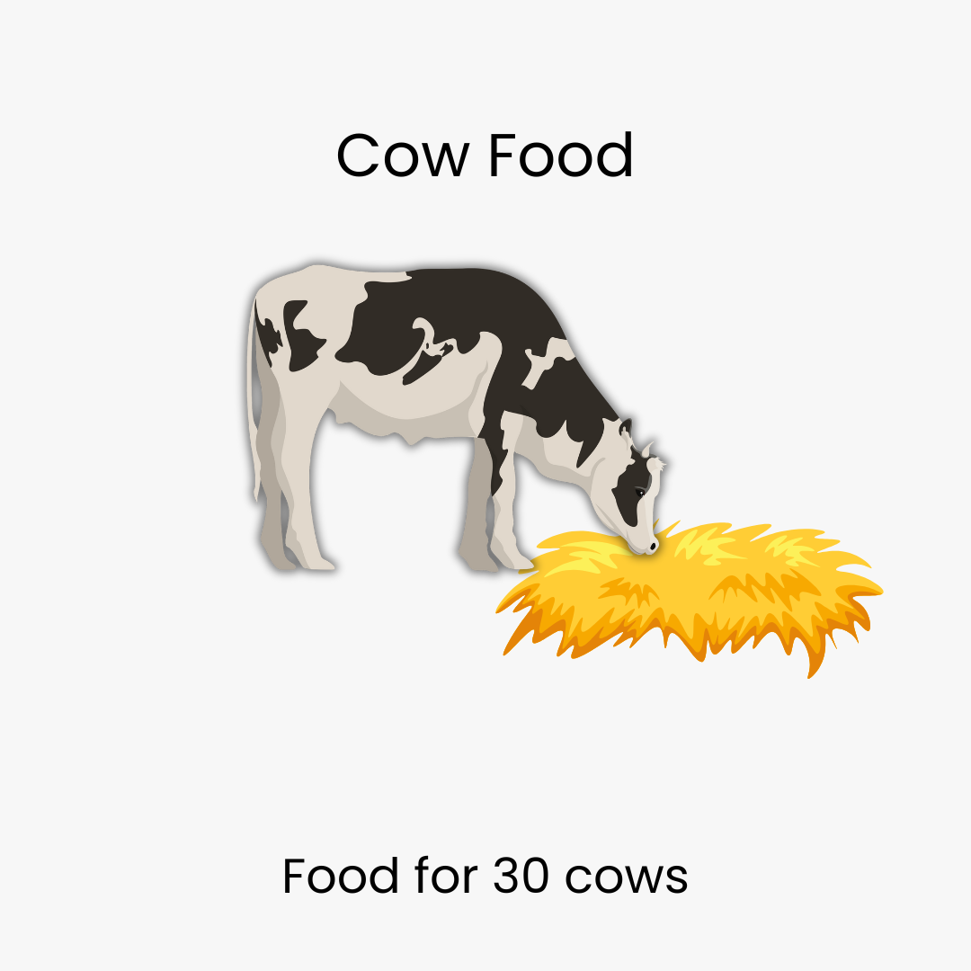 Cow Food